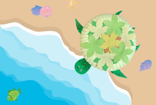 Sea Turtle   Website Graphic